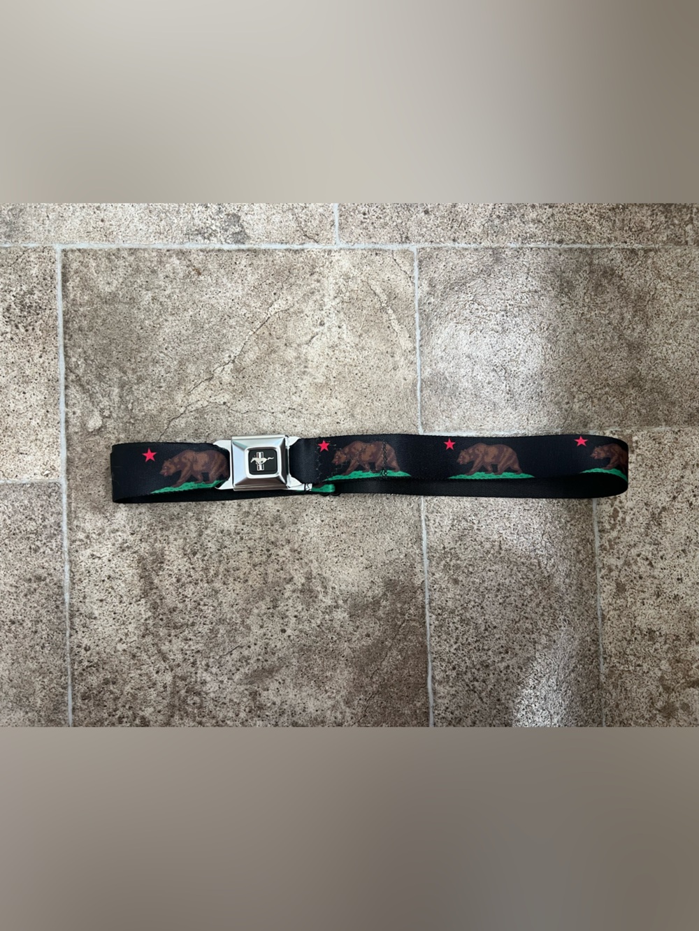 Buckle-Down Black Seatbelt Belt with Green & Brown